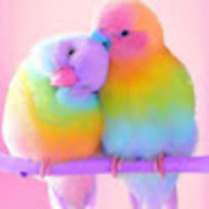 Meet your Posher, Tracie